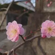 のあの部屋の画像