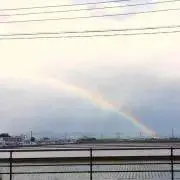 ななぴんの画像