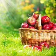 pomme