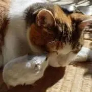 三月の画像