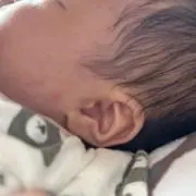 かっの画像