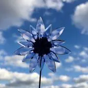 soraの画像