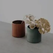 ぽとふの画像