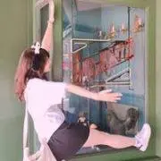 りこ
