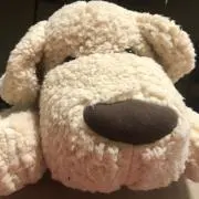 ひなぽんの画像