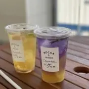 ねねの画像