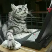 ぱそだんごの画像