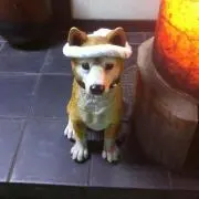 tomo⭐️プロフ確認⭐️の画像