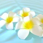 ももまろ（購入時必ずプロフ読んで下さい）