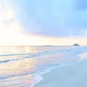 あーさんの画像