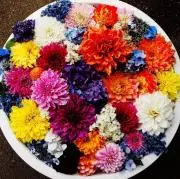 ✿‬‪初夏物に入替始めました‪✿