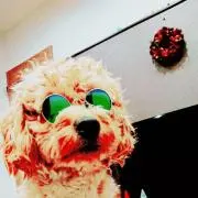 maron ぽんたの画像