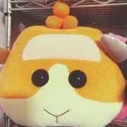 もるお（即購入ok  匿名配送のみ）の画像