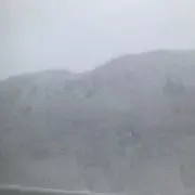 mikoの画像
