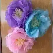 べりーの画像