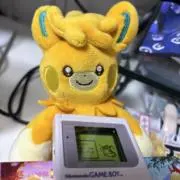 NeMの画像