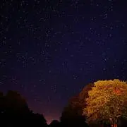 MISIA プロフ必読✨の画像