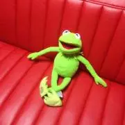 ゆっきーの画像