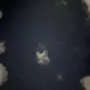 Mの画像