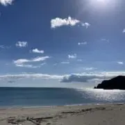 コジコジ♡の画像