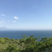 はるすけの画像