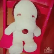 hamuroの画像