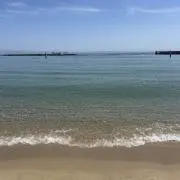 tの画像