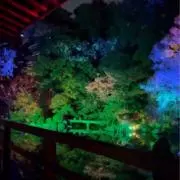 わっさんの画像