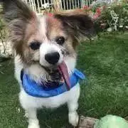 るーの画像