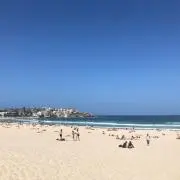モイストの画像