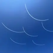 よこづなの画像