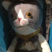 ちょこ♡の画像