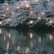 みずしー24の画像