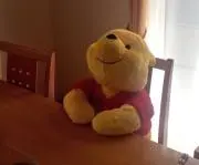 こわの画像