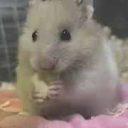 格安設定あるかも？！の画像
