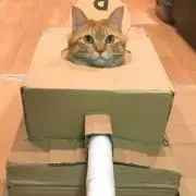 ねここの画像