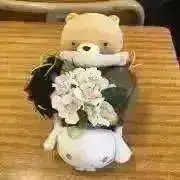 くま ☆ プロフ一読お願い致しますの画像