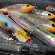※プロフ確認Oの画像
