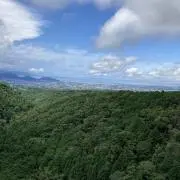 mikimiki☆の画像