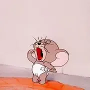 ちょんの画像