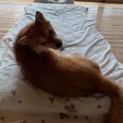 7の次8