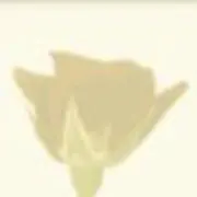 うぃの画像