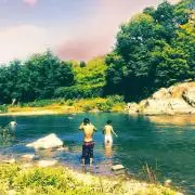 ミンミンゼミ