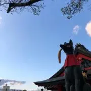 ゆうじんの画像