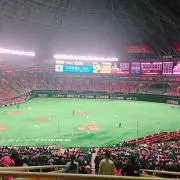 りゅうの画像