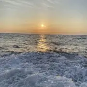 SUNNYFEELの画像