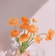 ℛ⃛