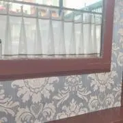 ゆずこの画像