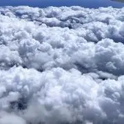 こうちゃんの画像