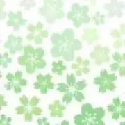 逸琉※購入前にプロフ欄確認お願いしますの画像